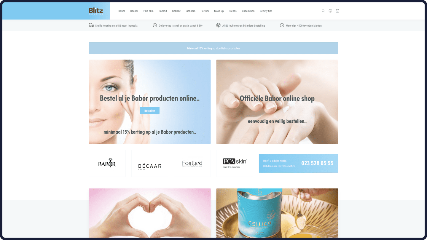 Website Blitz Wellness